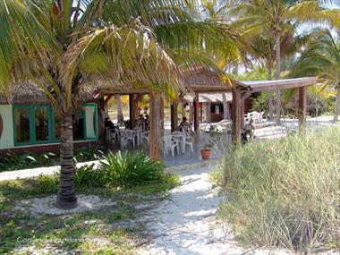 2004 Cuba, Cayo Levisa, DSC00666 B_B720